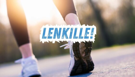 lenkille